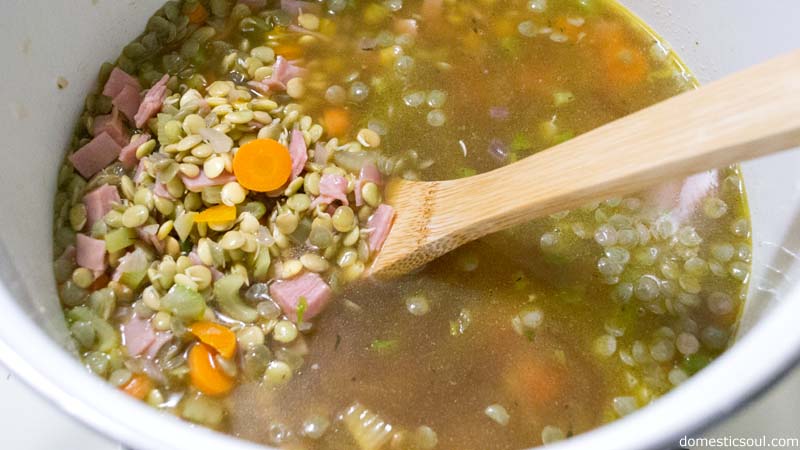 Sprouted Lentil Soup Recipe from domesticsoul.com