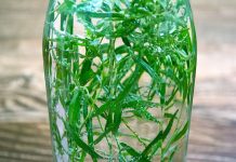 How to Make Tarragon Vinegar from domesticsoul.com