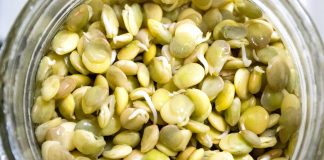 How To Sprout Lentils from domesticsoul.com